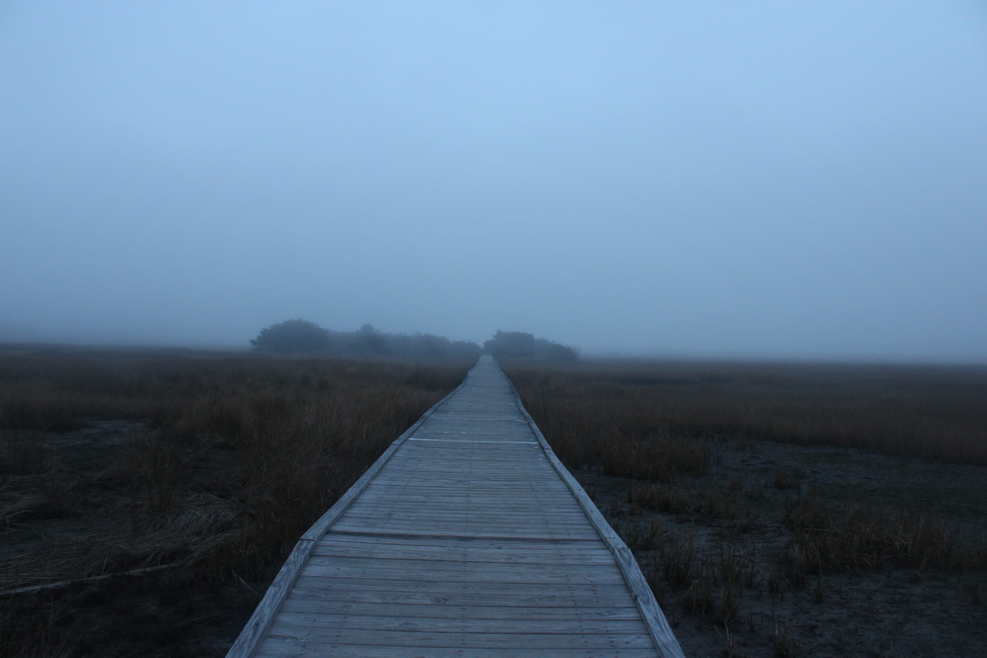 A boardwalk running out through coastal marsh grass on a foggy morning near Wilmington, North Carolina